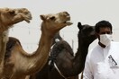 Επιστήμονες αναπτύσσουν εμβόλιο για τις καμήλες που θα εμποδίσει την εξάπλωση του ιού MERS στους ανθρώπους