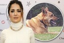Η Salma Hayek θρηνεί το θάνατο του σκύλου της και αναζητά το δολοφόνο του