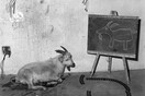 Something rich and strange... O υπόγειος κόσμος του Roger Ballen
