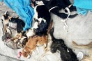 Σοκαριστικό ντοκουμέντο από την ταράτσα μιας σχολής ιατρικής στην Κίνα