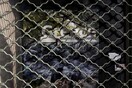 Από την αρχή του 2016 στη Θεσσαλονίκη κλείνουν πάνω από δύο επιχειρήσεις την ημέρα