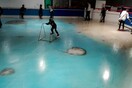 Οργή προκάλεσε ένα παγοδρόμιο στην Ιαπωνία που είχε τοποθετήσει χιλιάδες αληθινά ψάρια στον πάγο