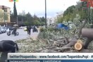 Έπεσε δέντρο στην Ευελπίδων από τους ανέμους