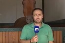 Άλογο παρενοχλεί ρεπόρτερ του TV Μακεδονία που προσπαθεί να κάνει ρεπορτάζ