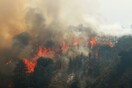 Στο έλεος της πύρινης λαίλαπας η Καλιφόρνια - Η πυρκαγιά μαίνεται από τις 22 Ιουλίου
