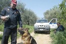 Χάθηκε 21χρονος σε βουνό στη Φωκίδα