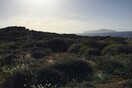 Μη μου τους κύκλους τάραττε...