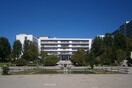 Θεσσαλονίκη: Αγανακτισμένος ο αντιπρύτανης του ΑΠΘ με τους κατασκηνωτές που καταφτάνουν στο campus