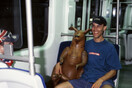 Γιορτινή Αθήνα του 2004 (2)