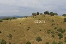 Στο λόφο του Καλπακίου, εκεί από όπου ξεκίνησαν όλα, υπάρχει ένα ανεξίτηλο ΟΧΙ στο έδαφος...