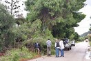 Ζάκυνθος: Πρωινός ανεμοστρόβιλος προκάλεσε ζημιές σε ολόκληρο το νησί