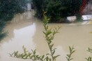 Σε κατάσταση έκτακτης ανάγκης κηρύχθηκε ο δήμος Zακύνθου