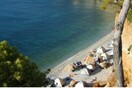 5.000 αναγνώστες μας ψήφισαν στο γκάλοπ για τη νομιμοποίηση (ή μη) του ελεύθερου κάμπινγκ. Να τα αποτελέσματα