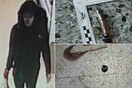 Η βόμβα που σκόρπισε το θάνατο στο Μάντσεστερ- Φωτογραφίες από τα ευρήματα στο σημείο της έκρηξης