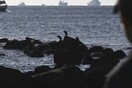 Τραγωδία στη Ρόδο: Nεκροί εντοπίστηκαν τρεις ψαράδες που αγνοούνταν από χθες το βράδυ