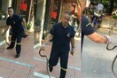 Λαρισαίος Πυροσβέστης τα βάζει με φίδι και τελικά το πιάνει με γυμνά χέρια - ΒΙΝΤΕΟ
