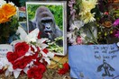 Το ίντερνετ δεν ξέχασε τον Harambe