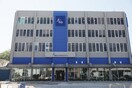 Αιχμηρή απάντηση της ΝΔ στον Τζανακόπουλο για το ταξίδι του πρωθυπουργού και την τράπεζα Rothschild