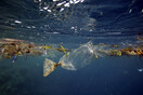 Οξίνιση των ωκεανών: τι -πρακτικά- σημαίνει η μείωση του pH της θάλασσας