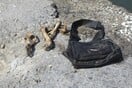 Θρίλερ με πτώμα άνδρα που βρέθηκε σφηνωμένο σε δέντρο στο Ηράκλειο