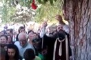 Τι είναι στ' αλήθεια το «θαυματουργό αίμα» που τρέχει από αυτό το δέντρο στη Λάρισα;