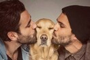 28 φωτογραφίες απ' το Instagram της πιο διάσημης σκυλίτσας της Ελλάδας