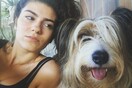 30 νέες φωτογραφίες απ' τα τέλεια ζώα των αναγνωστών μας