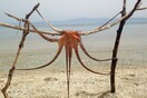 Tι τρώει η Ελλάδα: 30 νέες φωτογραφίες των αναγνωστών μας