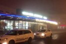 Τσεχία: Συνελήφθη επιβάτης που απείλησε να πυροδοτήσει βόμβα σε πτήση για τα Κανάρια νησιά