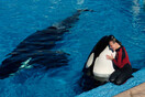Tilikum, ο θάνατος μιας "όρκας-δολοφόνου".