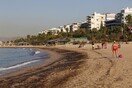 Για την τόσο οικεία, τόσο μακρινή παραλιακή