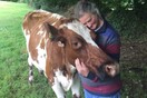 Η συνταξιούχος αγρότισσα που αποφάσισε να σώσει πάση θυσία τις αγελάδες της από το σφαγείο