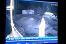 Η τρομακτική στιγμή της επίθεσης ενός κροκόδειλου σε ζευγάρι που κολυμπούσε αμέριμνο σε πισίνα (ΒΙΝΤΕΟ)