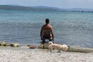 30 νέες φωτογραφίες απ' τα τέλεια ζώα των αναγνωστών μας