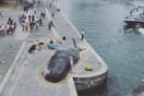 Το περίεργο θέαμα μιας νεκρής φάλαινας στο κέντρο του Παρισιού