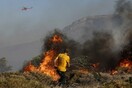 Αλλοδαπός συνελήφθη για εμπρησμούς στις Πρέσπες