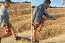 Ισπανία: Η αστυνομία αναζητά αυτόν τον τύπο που κλωτσά βάναυσα ένα κουνέλι (Προσοχή: Σκληρές εικόνες)