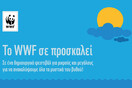 Η «ψαραγορά» του WWF στο εκπτωτικό χωριό McArthurGlen
