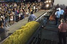 Η Νάξος μπαίνει στο Γκίνες με μια τεράστια μερίδα πατάτες και η επιτυχία πανηγυρίζεται (video)