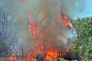 Σε ύφεση η πυρκαγιά στην Κέρκυρα