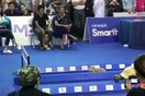 Έγινε αληθινός αγώνας λαγού με χελώνα και νίκησε ακριβώς αυτός που νομίζεις! (Βίντεο)