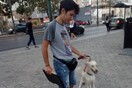 Προχτές ο Σταμάτης βρήκε ένα χαμένο σκυλάκι. Βγάζοντάς το βόλτα έπεσε επάνω στον ιδιοκτήτη του!