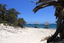 Ανοίγουν και πάλι οι καντίνες στη Χρυσή που είχαν κλείσει λόγω φοροδιαφυγής