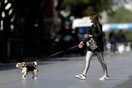 Μεγάλες αλλαγές για τα κατοικίδια ζώα φέρνει νέος νόμος