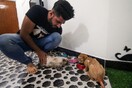 Άνοιξε το πρώτο ξενοδοχείο για γάτες στο Ιράκ