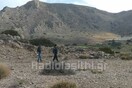 Κυνηγός βρήκε διαμελισμένο πτώμα γυναίκας στην Κρήτη