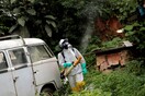 Σε συναγερμό η Βραζιλία λόγω κρουσμάτων κίτρινου πυρετού - Κλείνουν ζωολογικοί κήποι και πάρκα