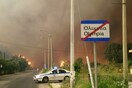 Αντιπεριφερειάρχης Ηλείας: Κανένα αντιπυρικό και αντιπλημμυρικό σχέδιο 11 χρόνια μετά τις φονικές πυρκαγιές