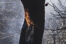 Στη Ζάκυνθο κλιμάκιο της Διεύθυνσης Αντιμετώπισης Εγκλημάτων Εμπρησμού