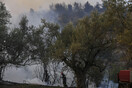 Σε εξέλιξη πυρκαγιά στην Ηλεία- Mερική εκκένωση σε χωριό (upd)
